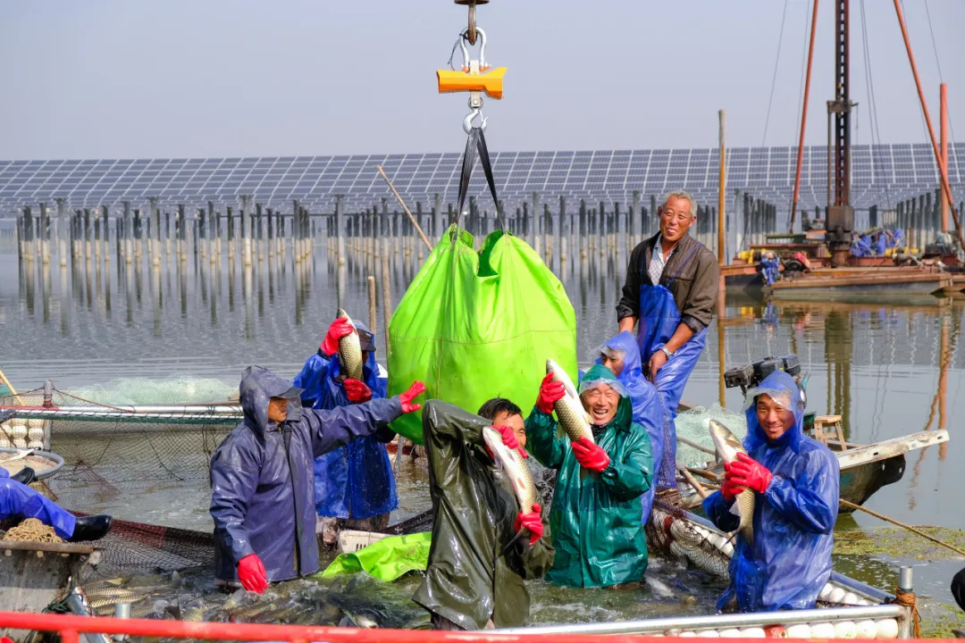 f02b54bdff8e77ea75b4c68cb3ac1771.png f02b54bdff8e77ea75b4c68cb3ac1771.png