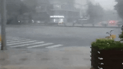 a9a0674712ab006ddee18ca56c973136.gif a9a0674712ab006ddee18ca56c973136.gif