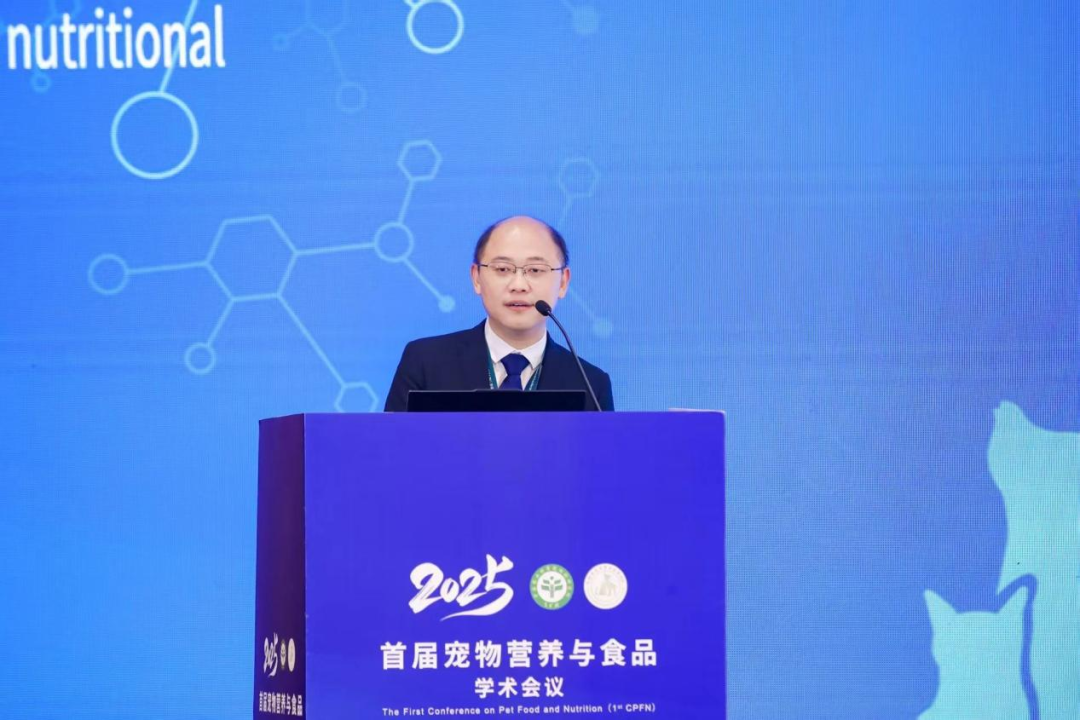 3ee32801bc141a562ea04199d60a60b2.png 3ee32801bc141a562ea04199d60a60b2.png