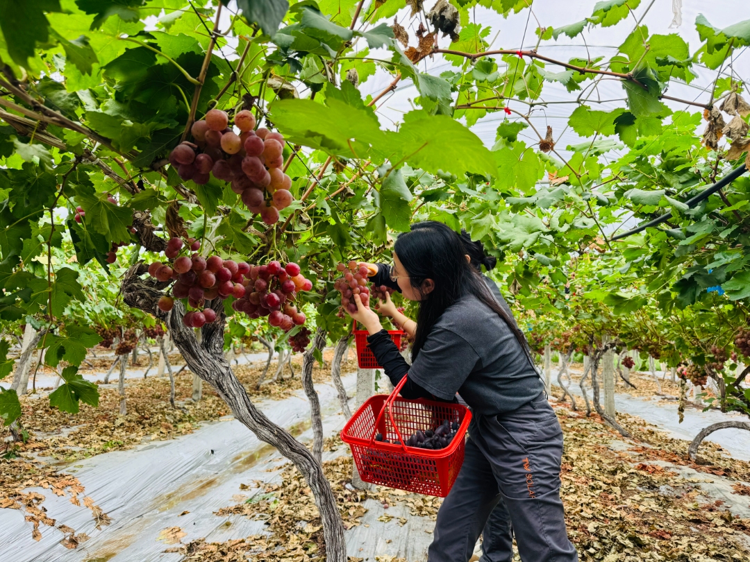 57fb2dded01a542316552004d226243e.jpg 57fb2dded01a542316552004d226243e.jpg